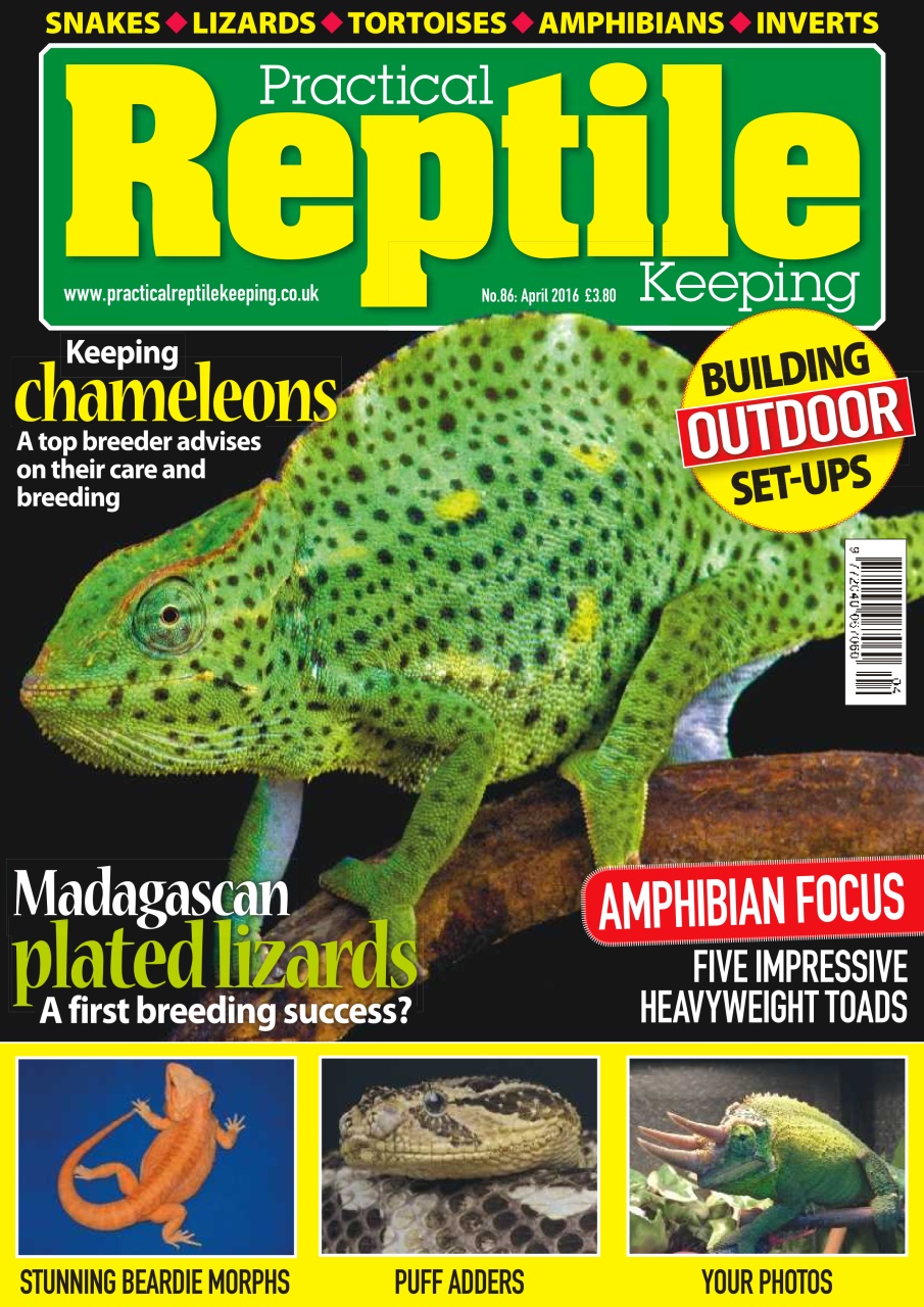 Practical Reptile Keeping Preview Pages