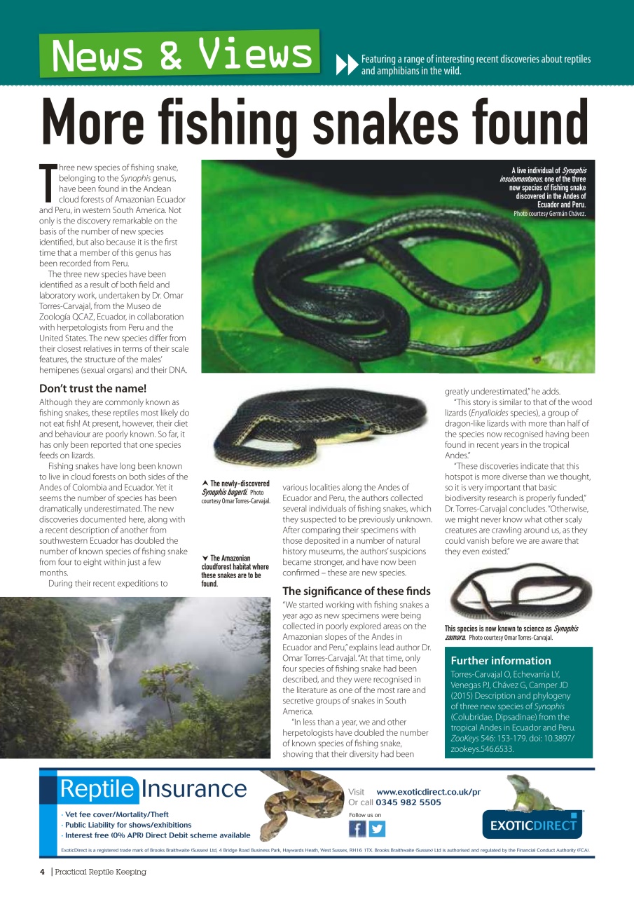 Practical Reptile Keeping Preview Pages