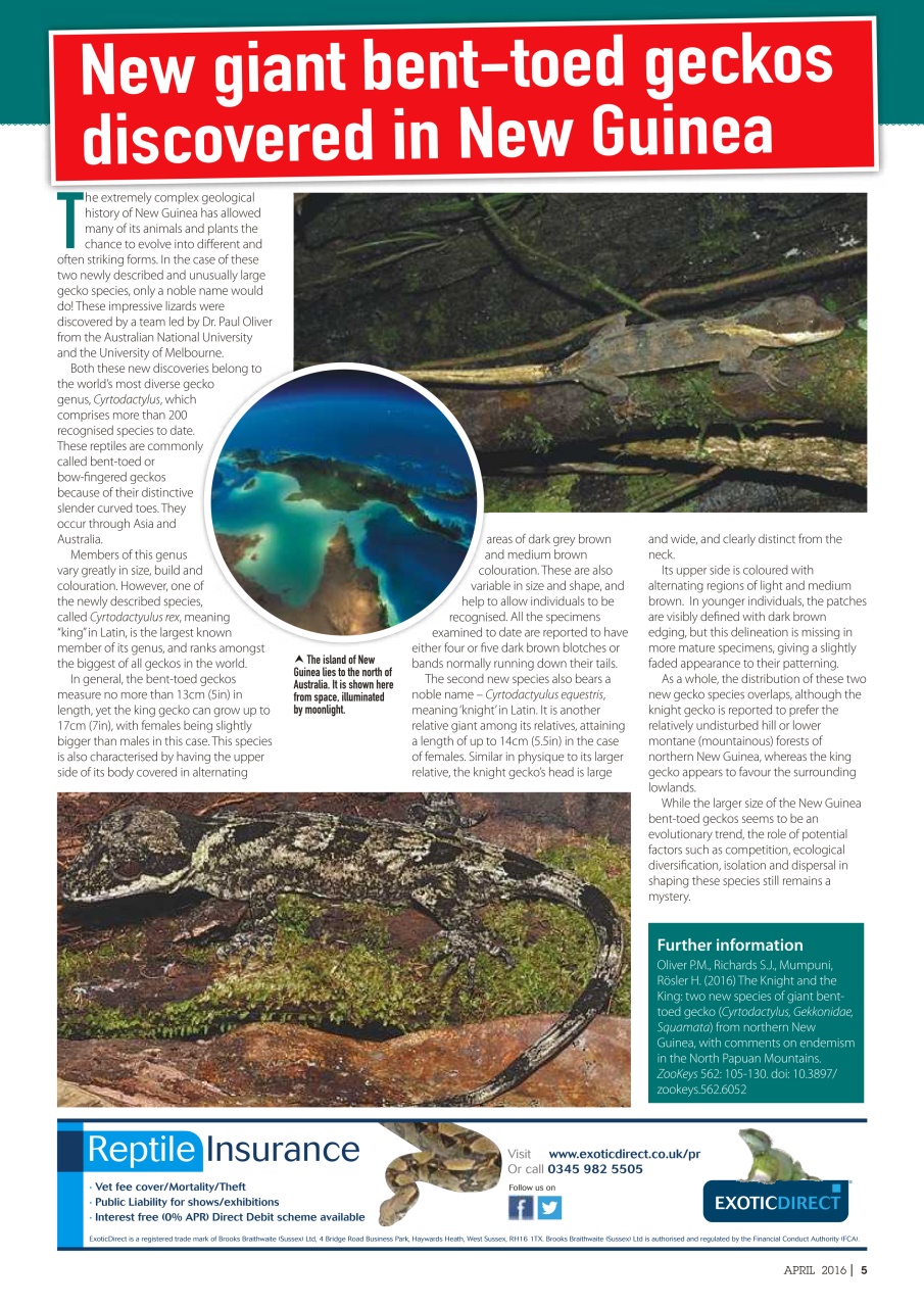 Practical Reptile Keeping Preview Pages