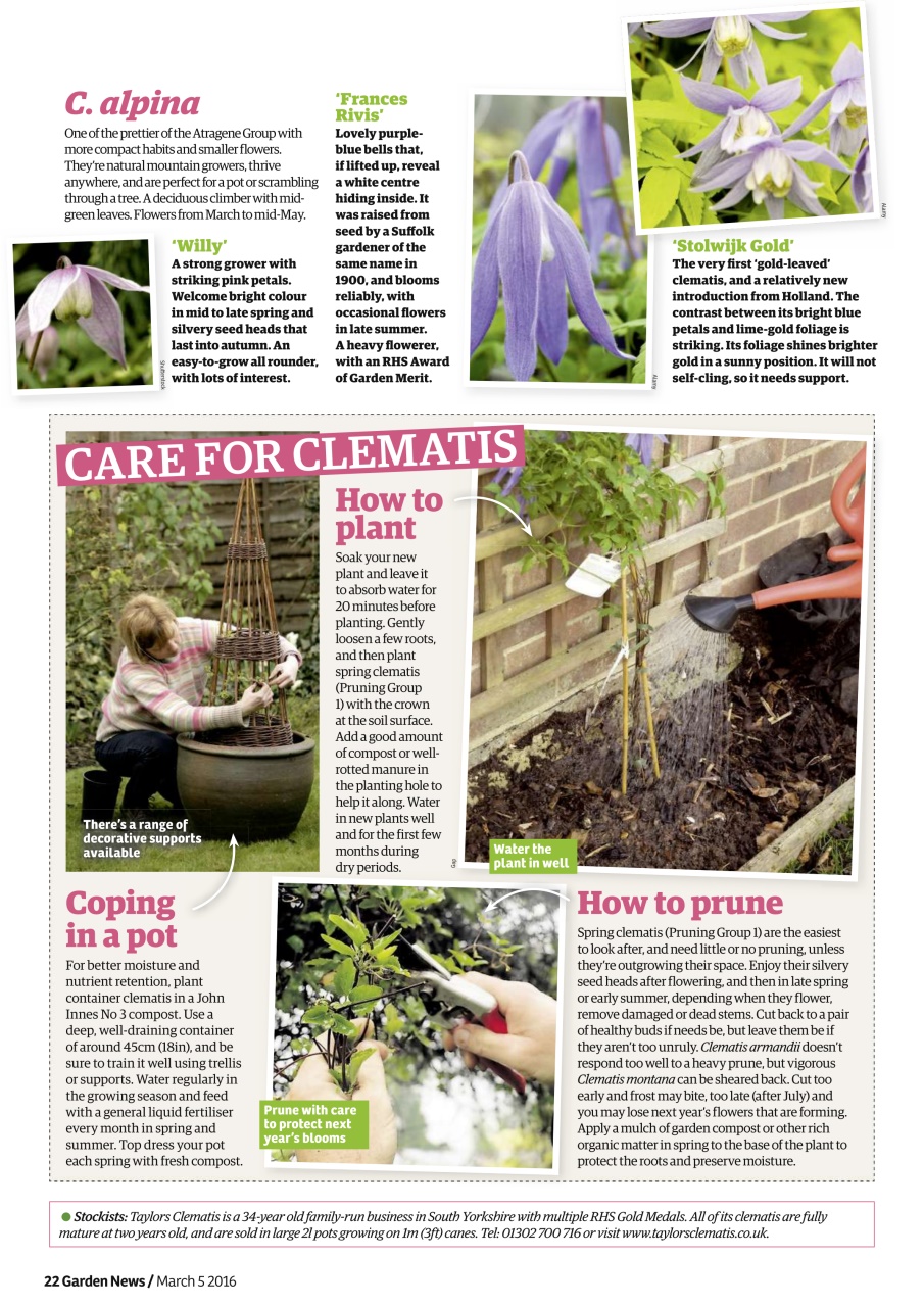 Garden News Preview Pages