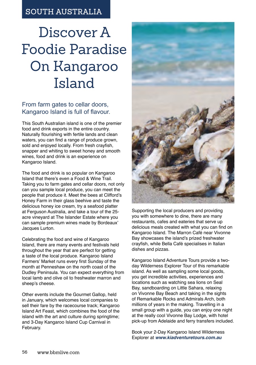 BBM Live Preview Pages