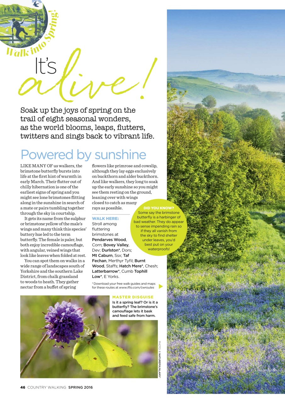 Country Walking Preview Pages