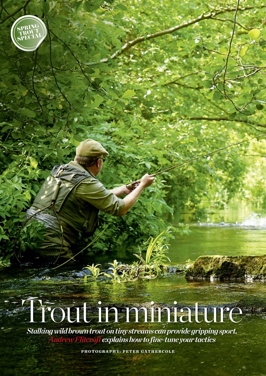 Trout & Salmon Preview Pages