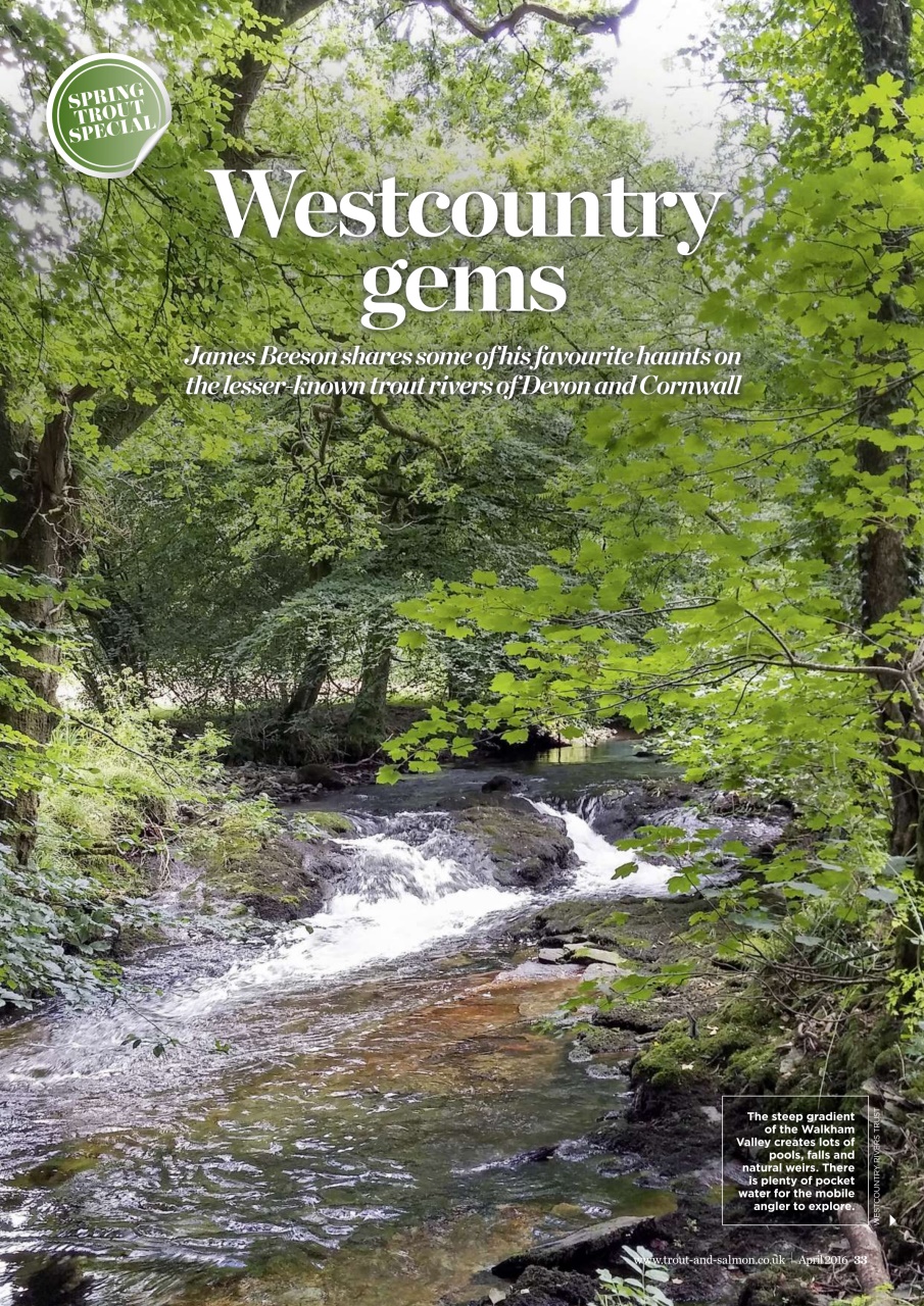 Trout & Salmon Preview Pages