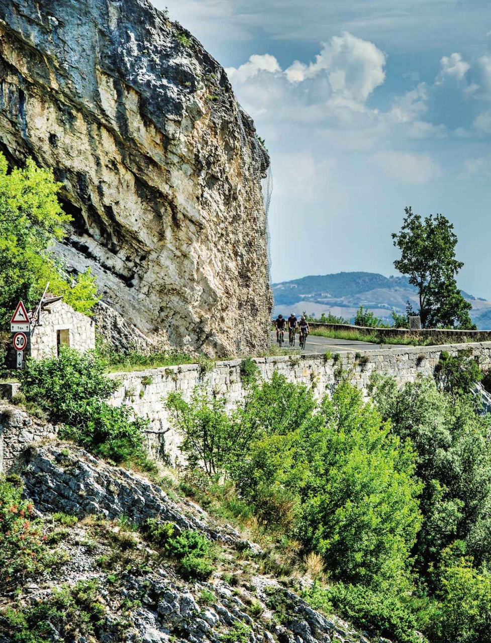 Cyclist Preview Pages