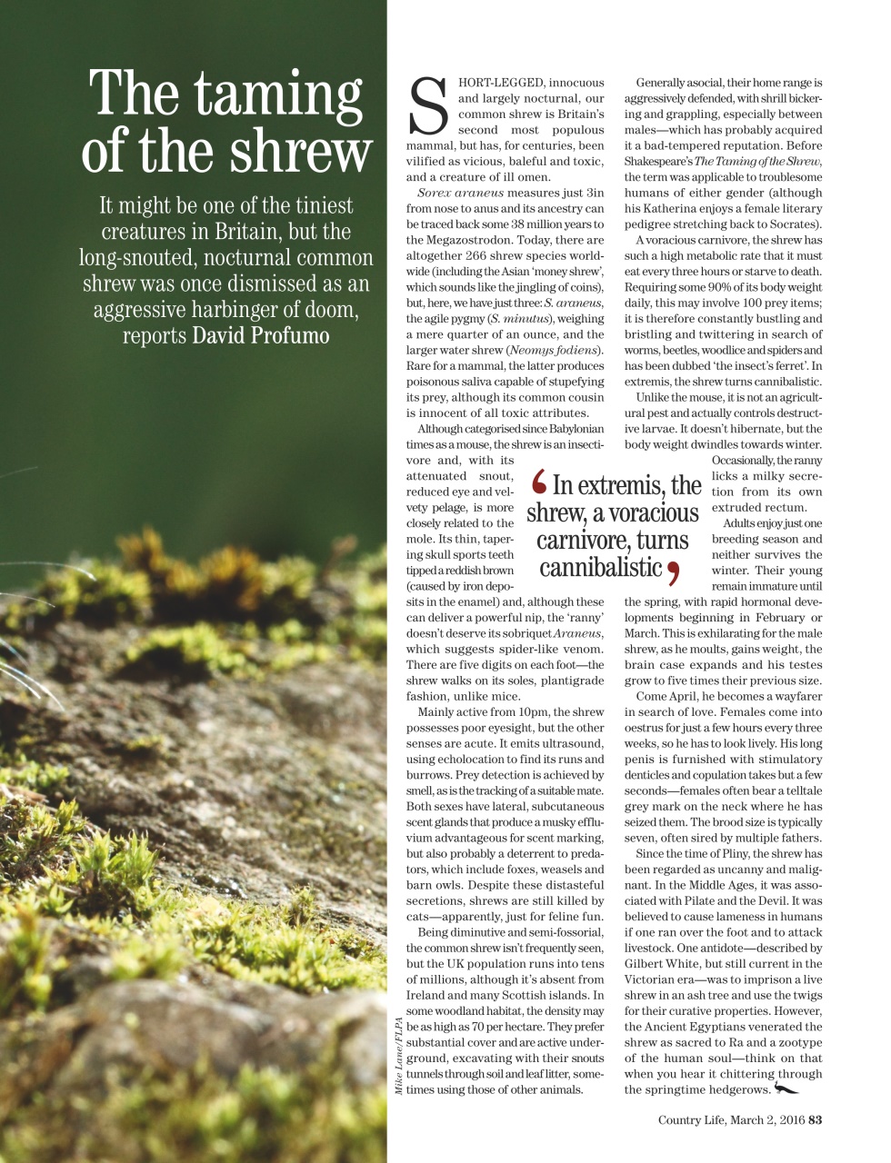 Country Life Preview Pages