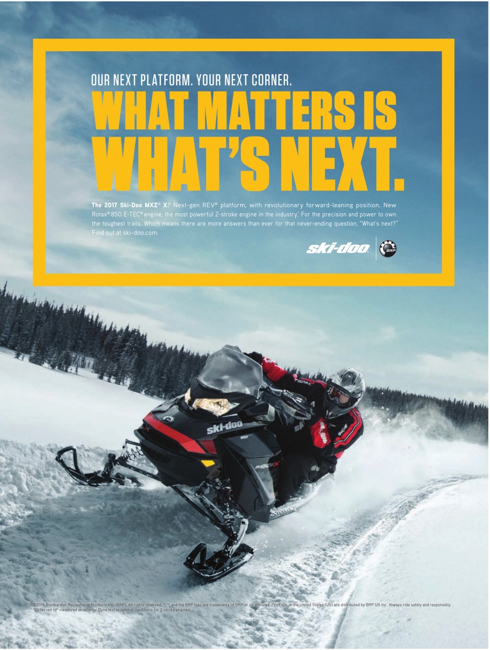 SnowGoer Preview Pages