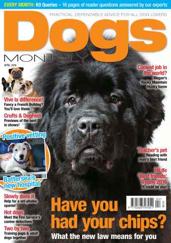 Dogs Monthly issue April 2016