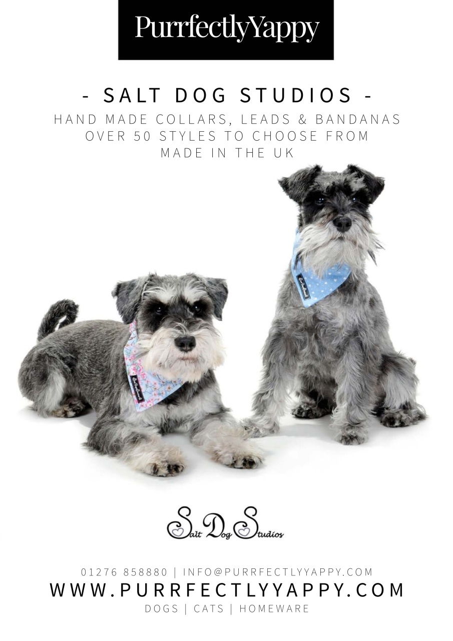 Dogs Monthly Preview Pages