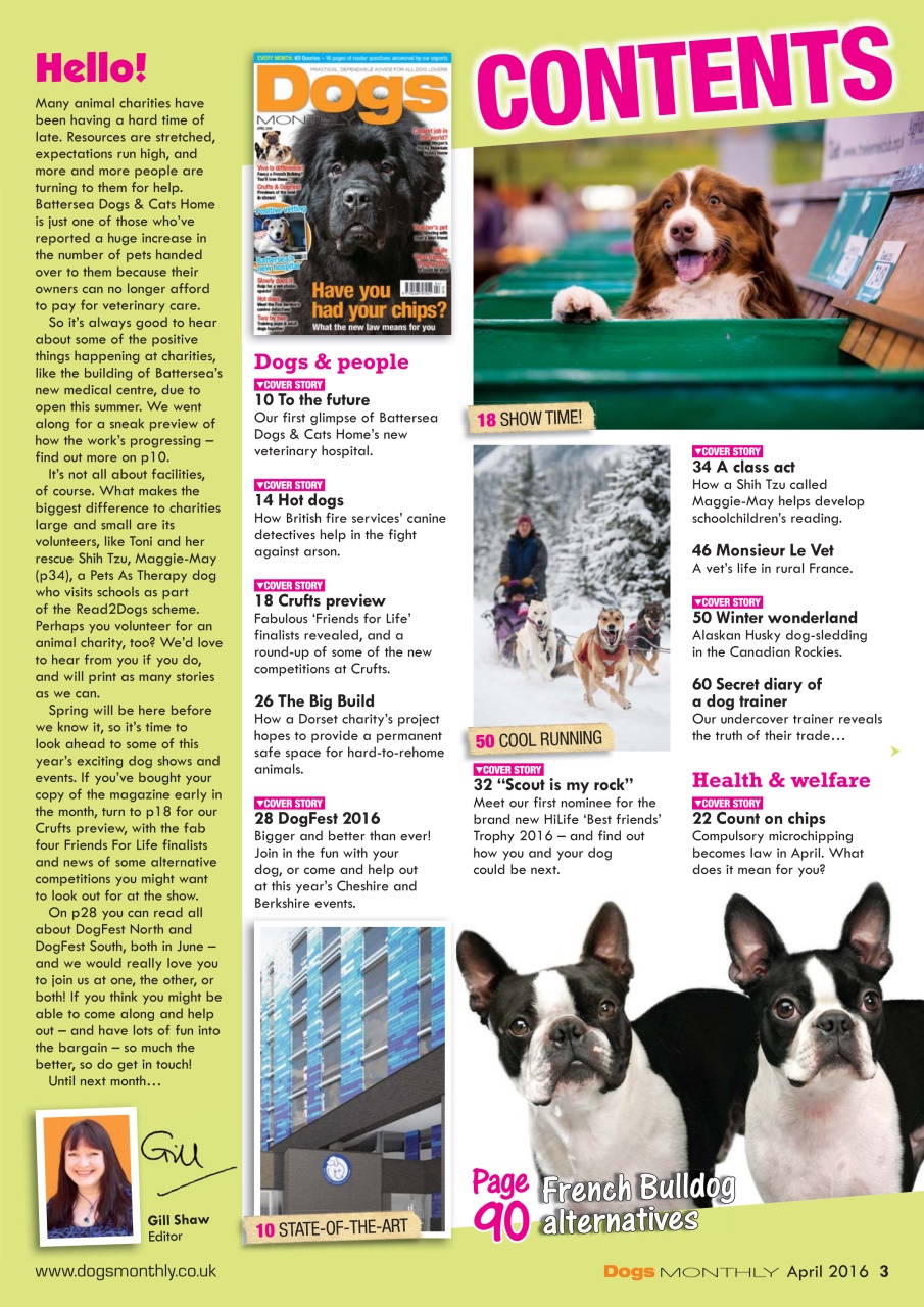Dogs Monthly Preview Pages