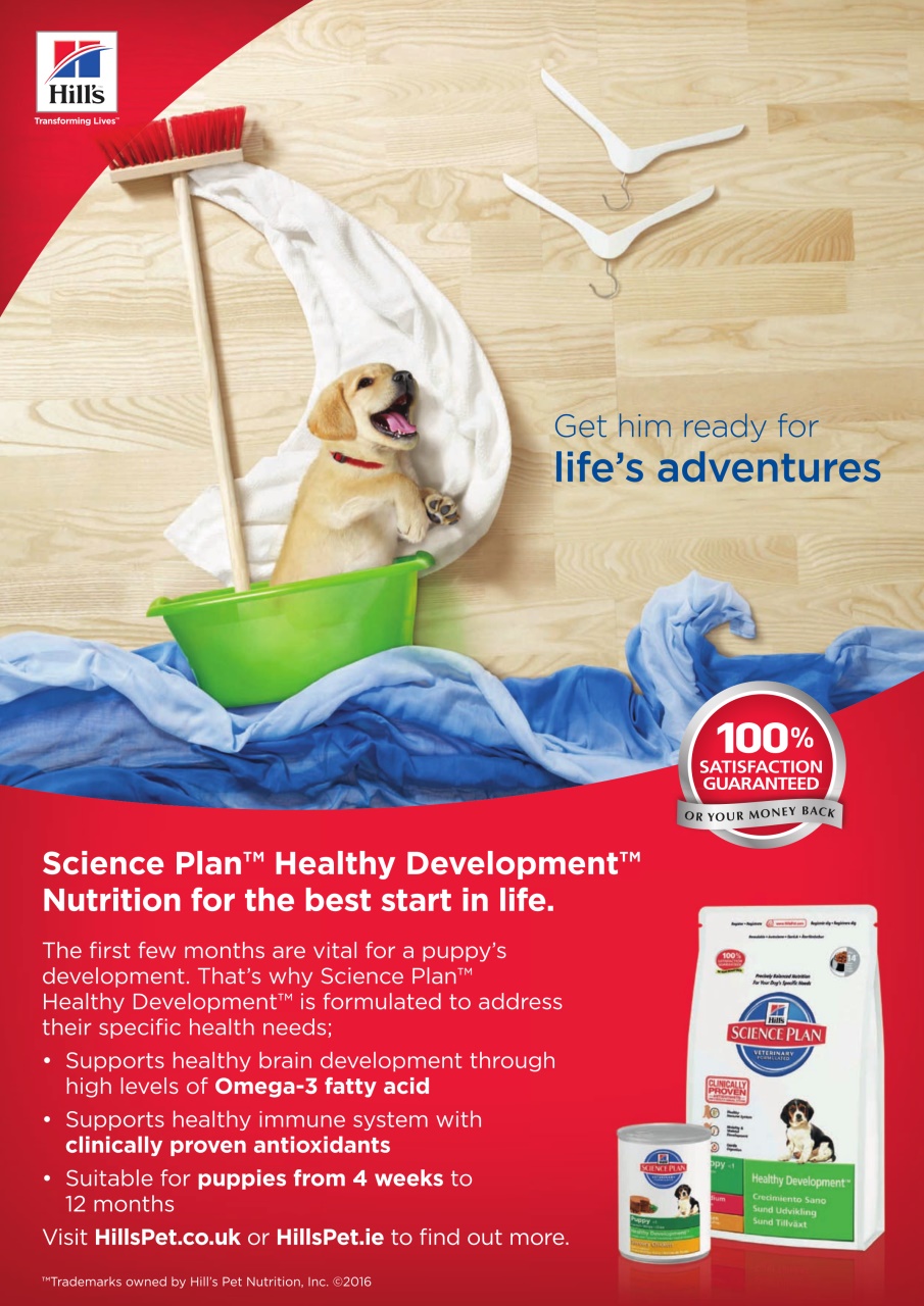 Dogs Monthly Preview Pages