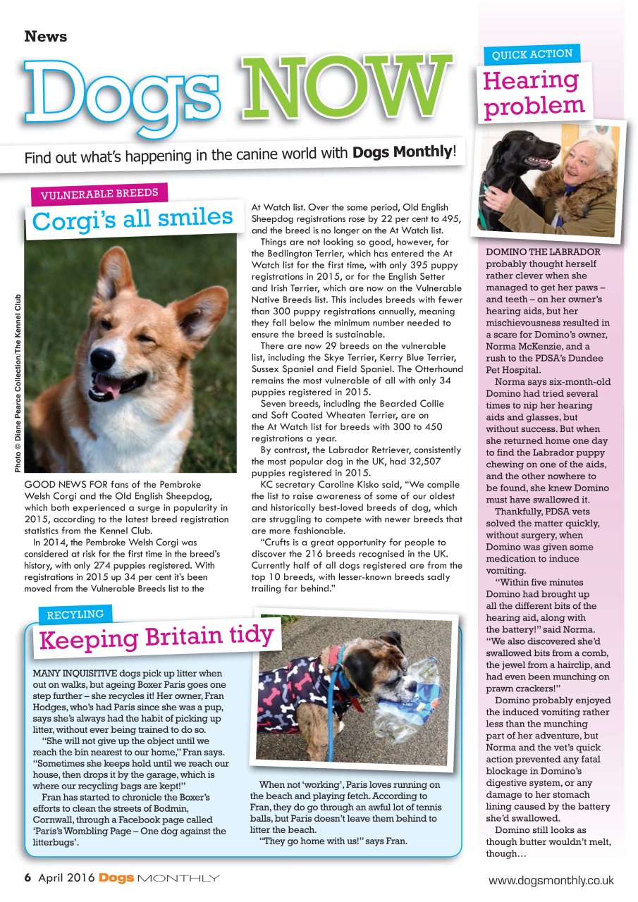 Dogs Monthly Preview Pages