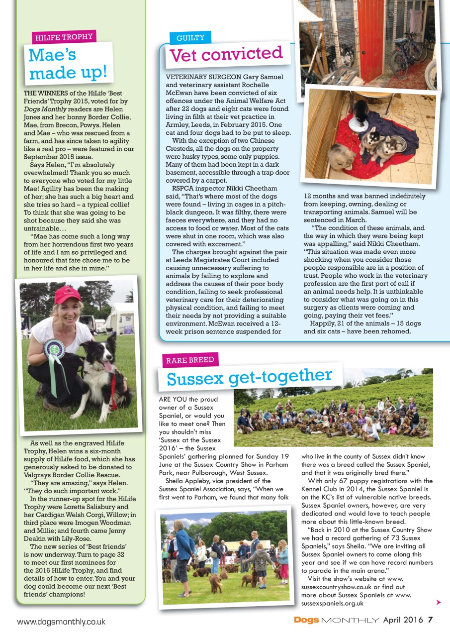 Dogs Monthly Preview Pages