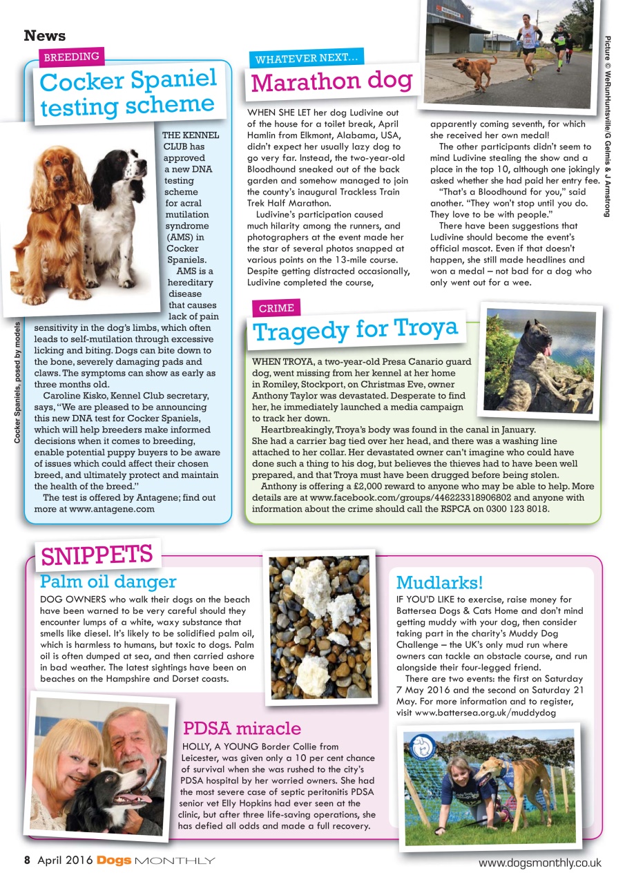Dogs Monthly Preview Pages