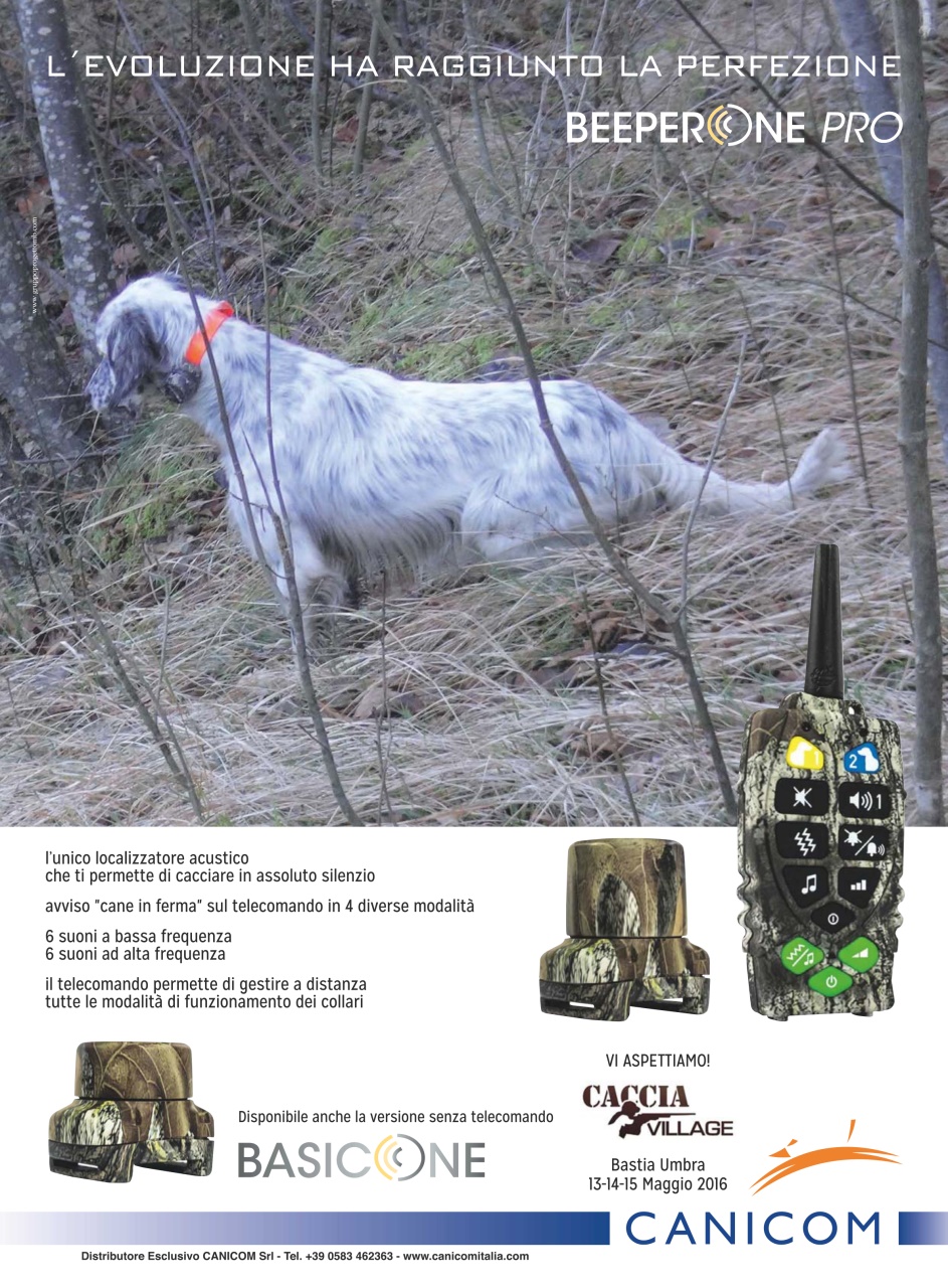 BECCACCE CHE PASSIONE Preview Pages