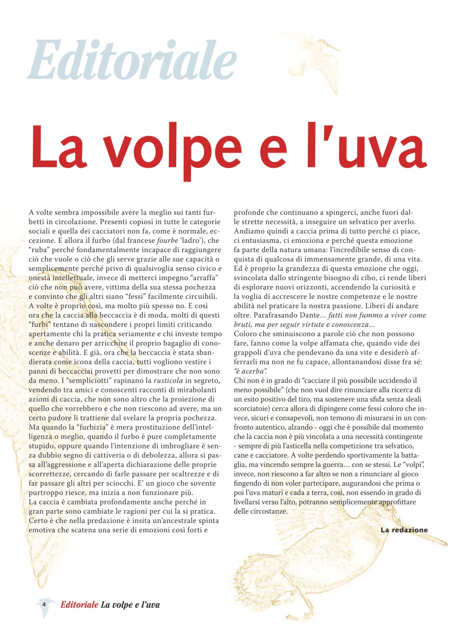 BECCACCE CHE PASSIONE Preview Pages