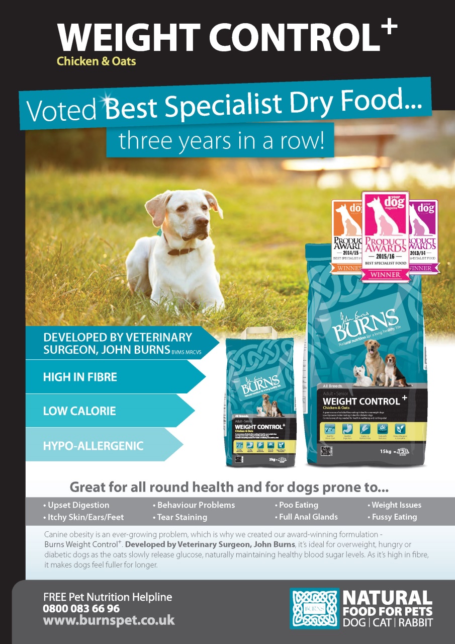 Your Dog Preview Pages