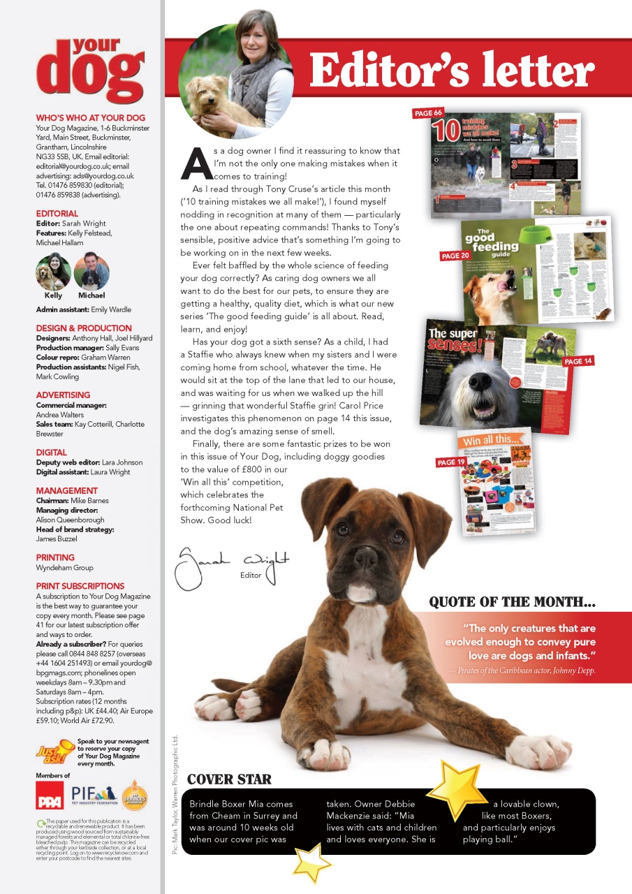 Your Dog Preview Pages