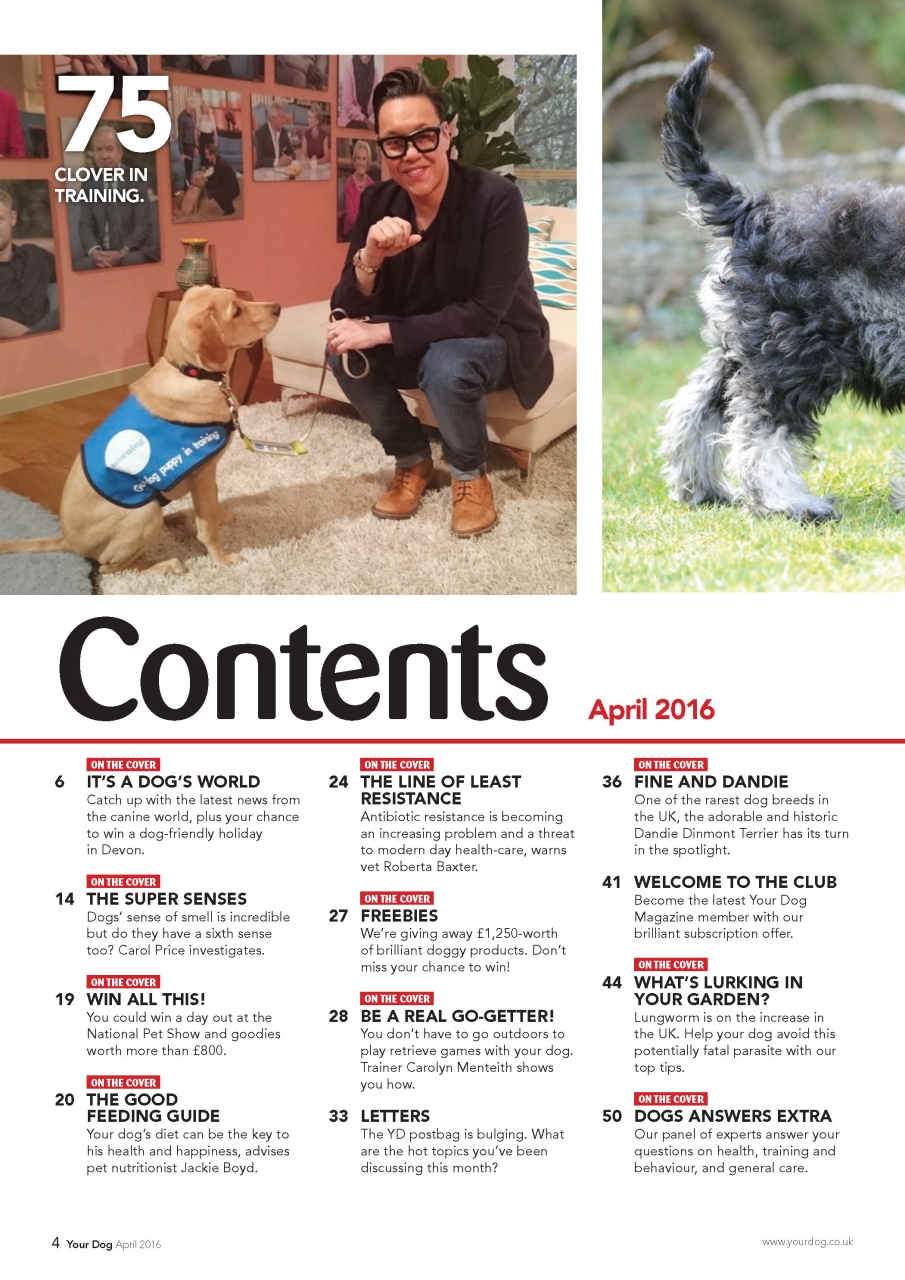 Your Dog Preview Pages