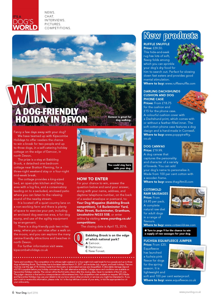 Your Dog Preview Pages