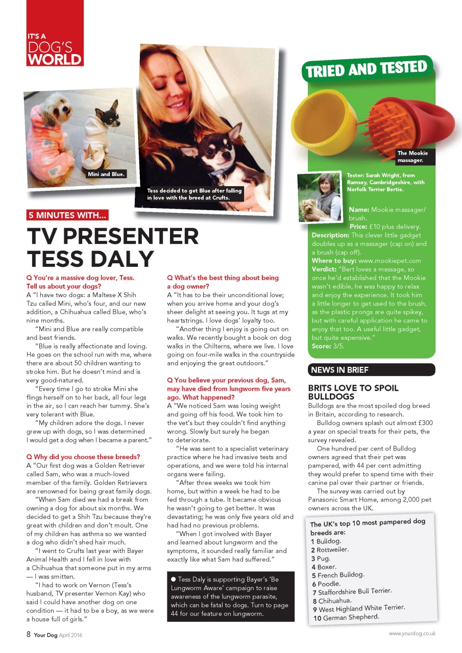 Your Dog Preview Pages