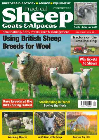The Smallholder issue No. 12 Using British Sheep Breeds For Wool