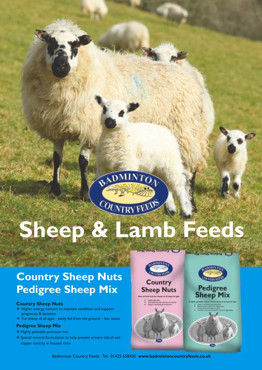 The Smallholder Preview Pages