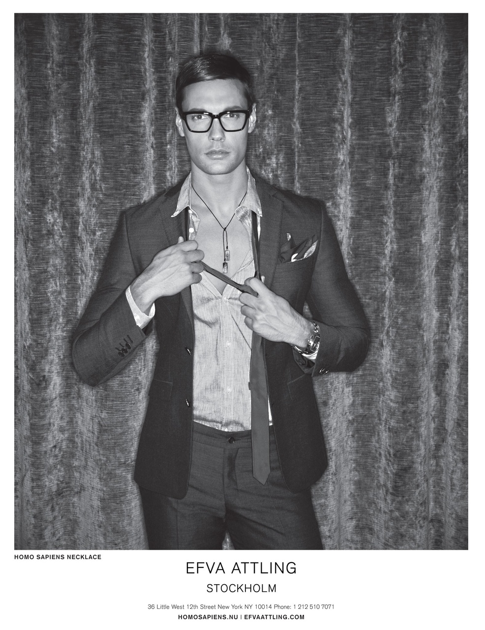 Passport Preview Pages