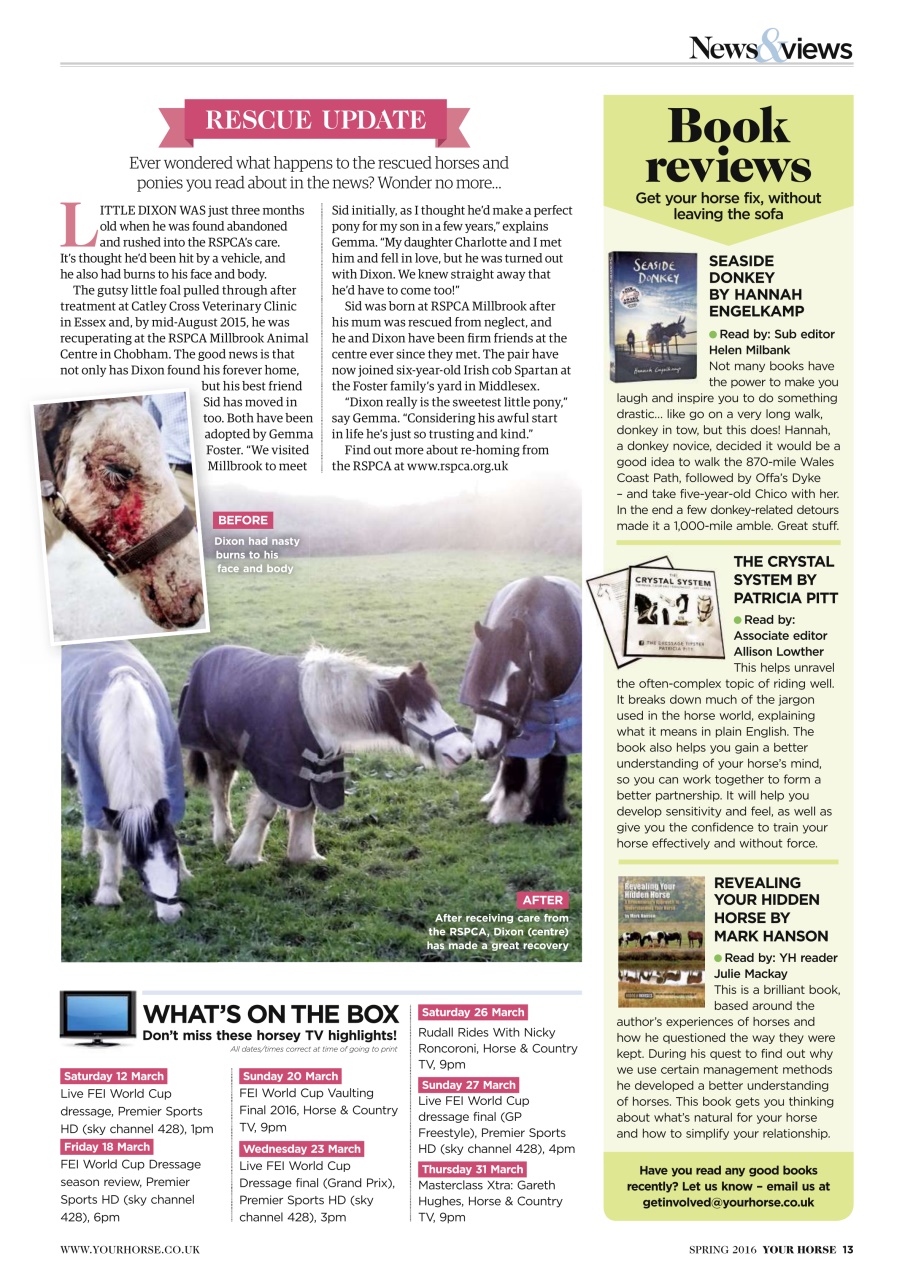 Your Horse Preview Pages