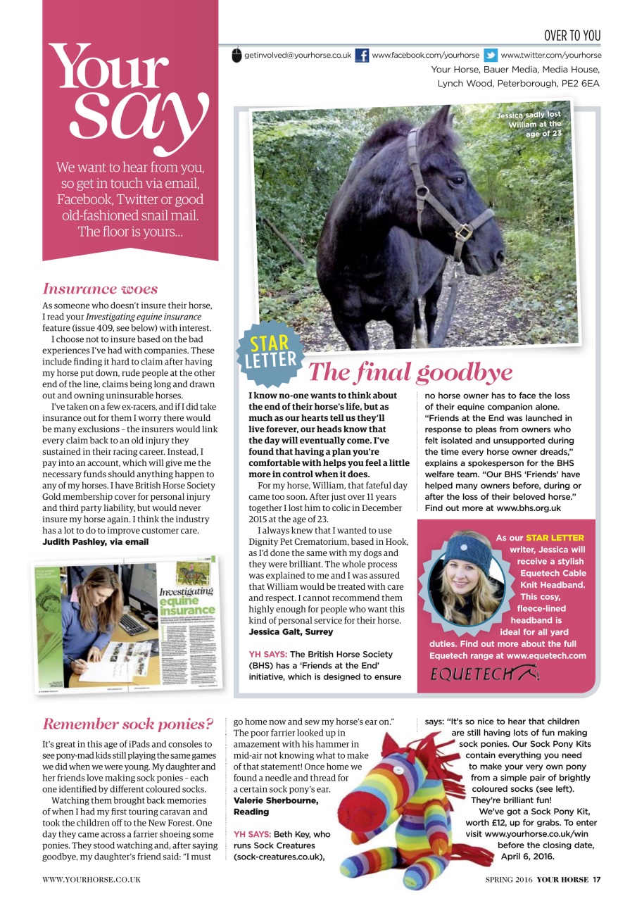 Your Horse Preview Pages