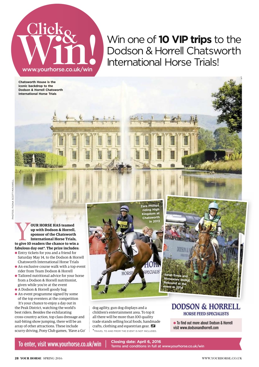 Your Horse Preview Pages