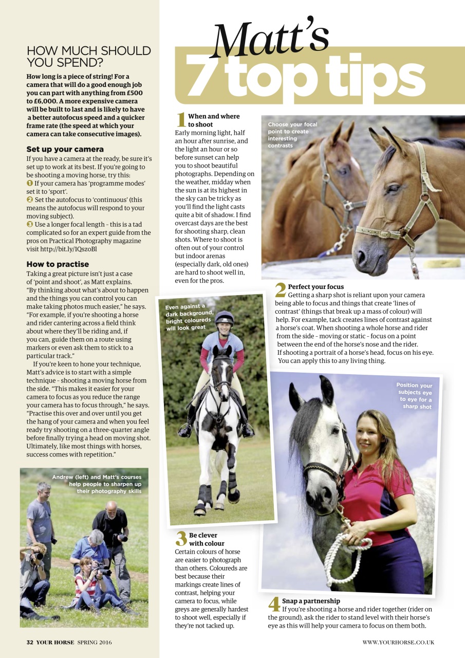 Your Horse Preview Pages