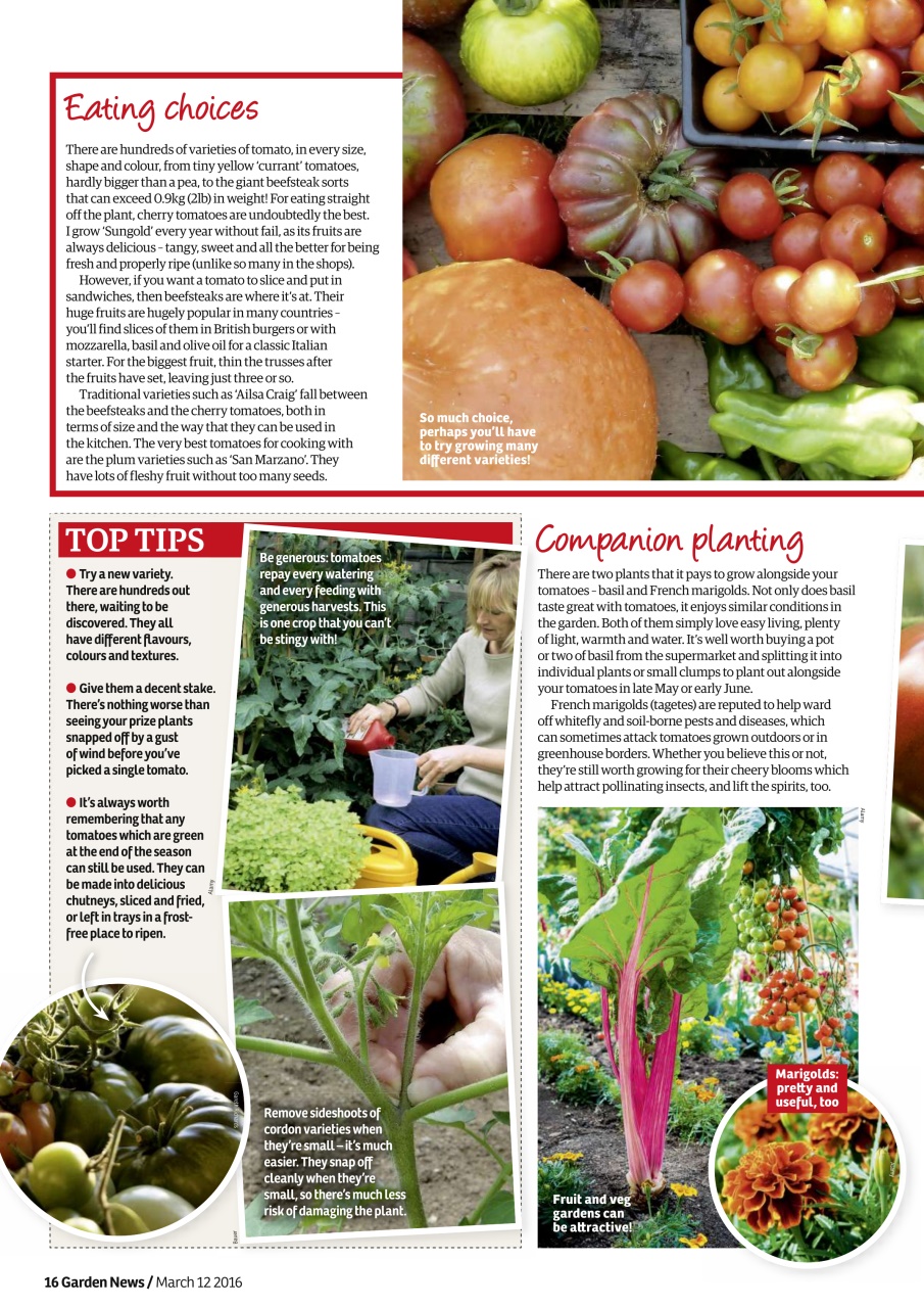 Garden News Preview Pages