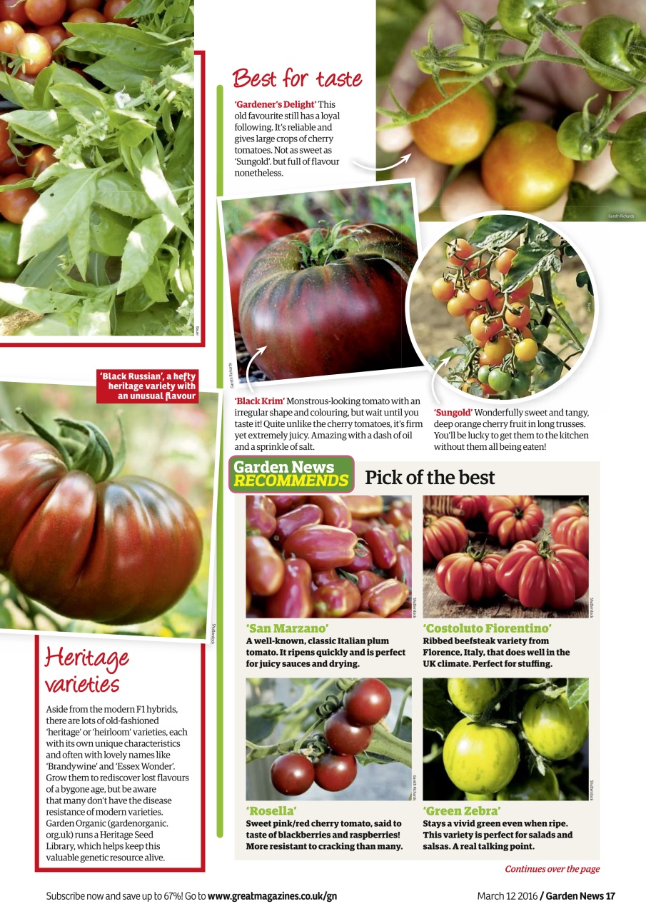 Garden News Preview Pages