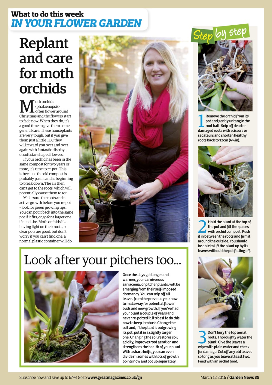Garden News Preview Pages