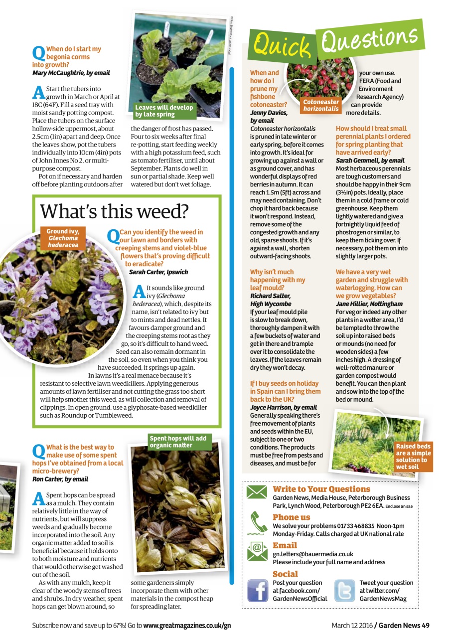 Garden News Preview Pages