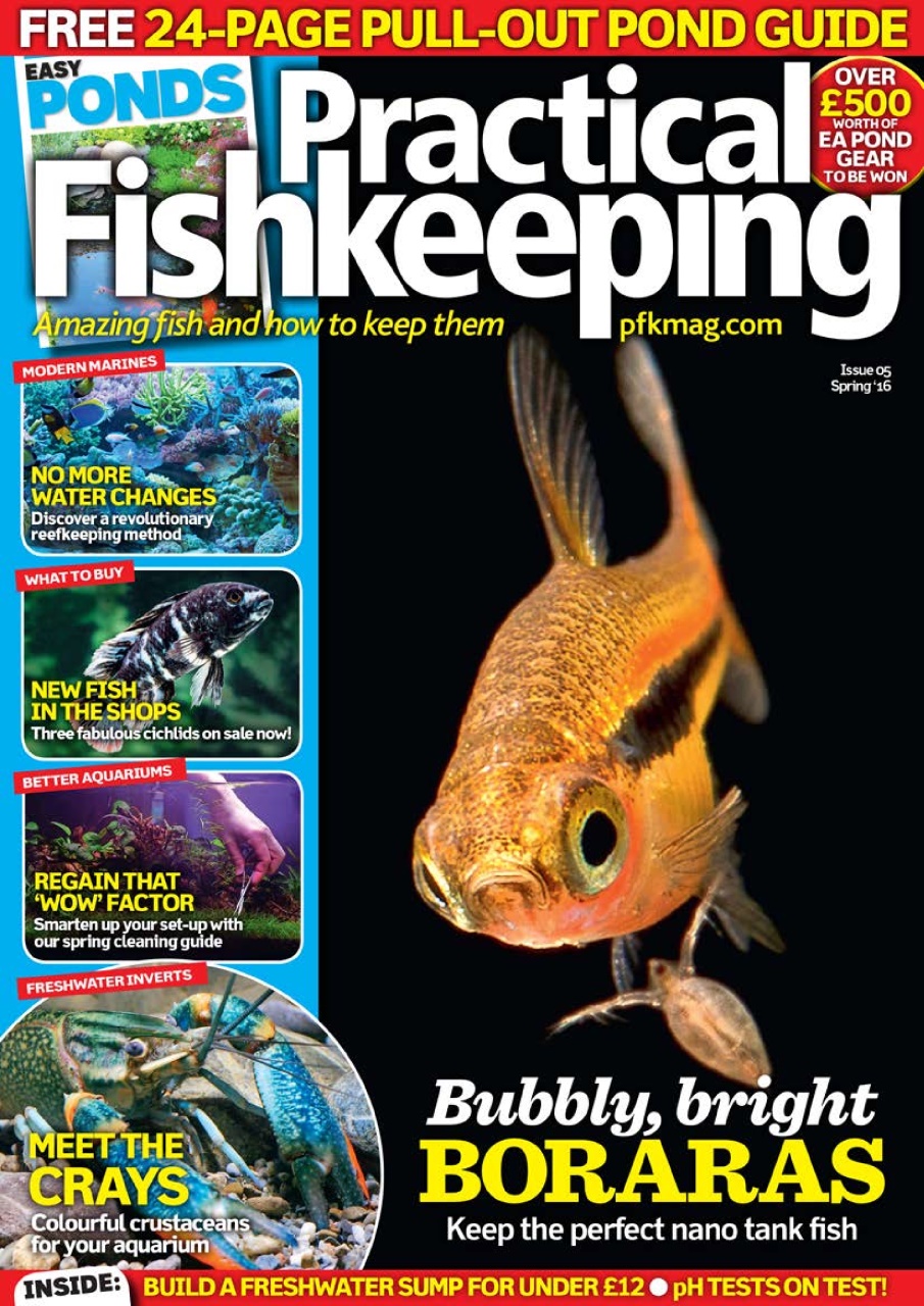Practical Fishkeeping Preview Pages