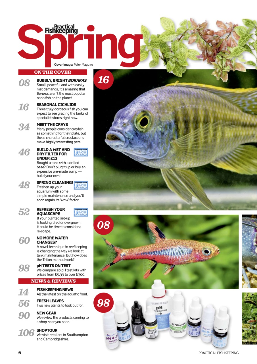 Practical Fishkeeping Preview Pages