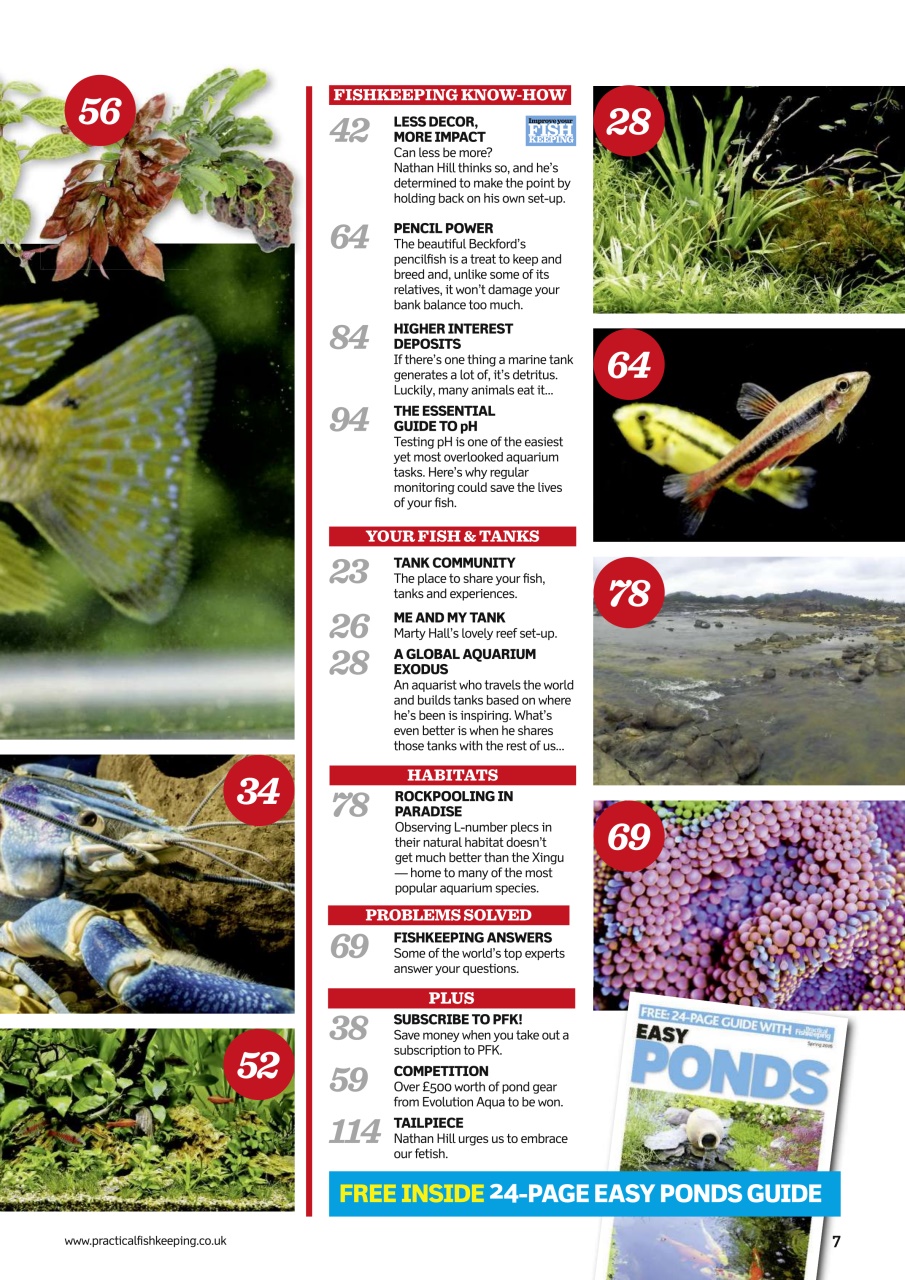 Practical Fishkeeping Preview Pages