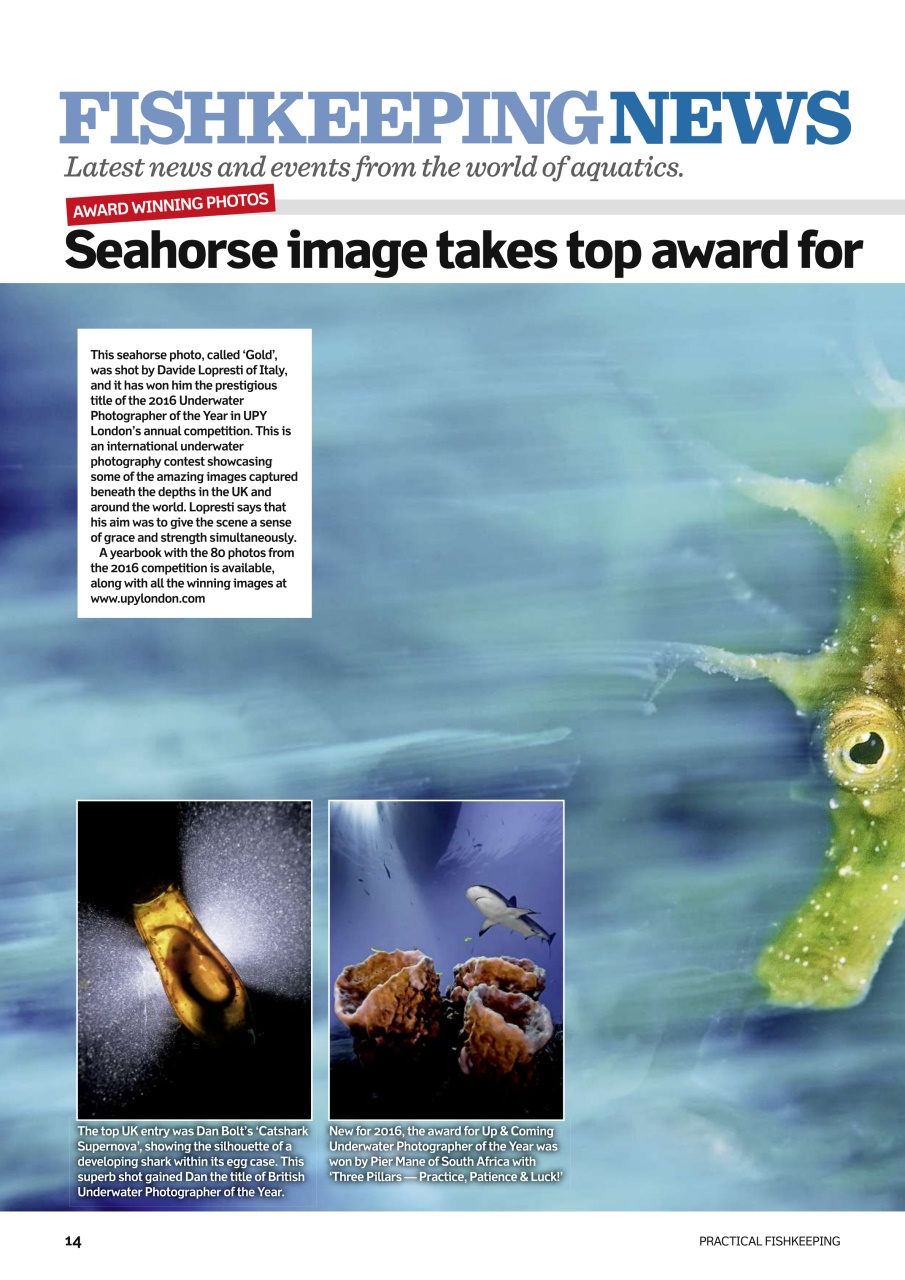 Practical Fishkeeping Preview Pages