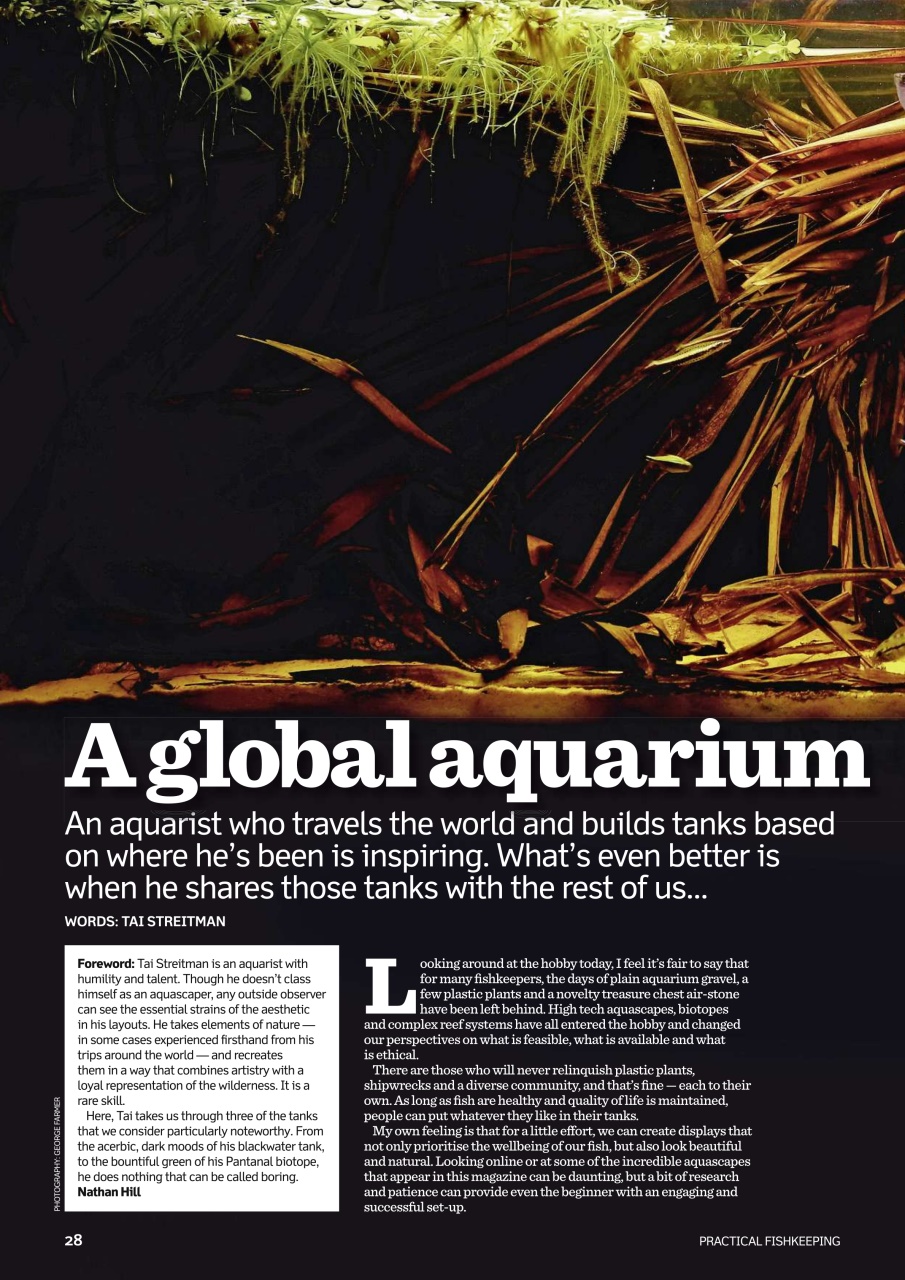 Practical Fishkeeping Preview Pages