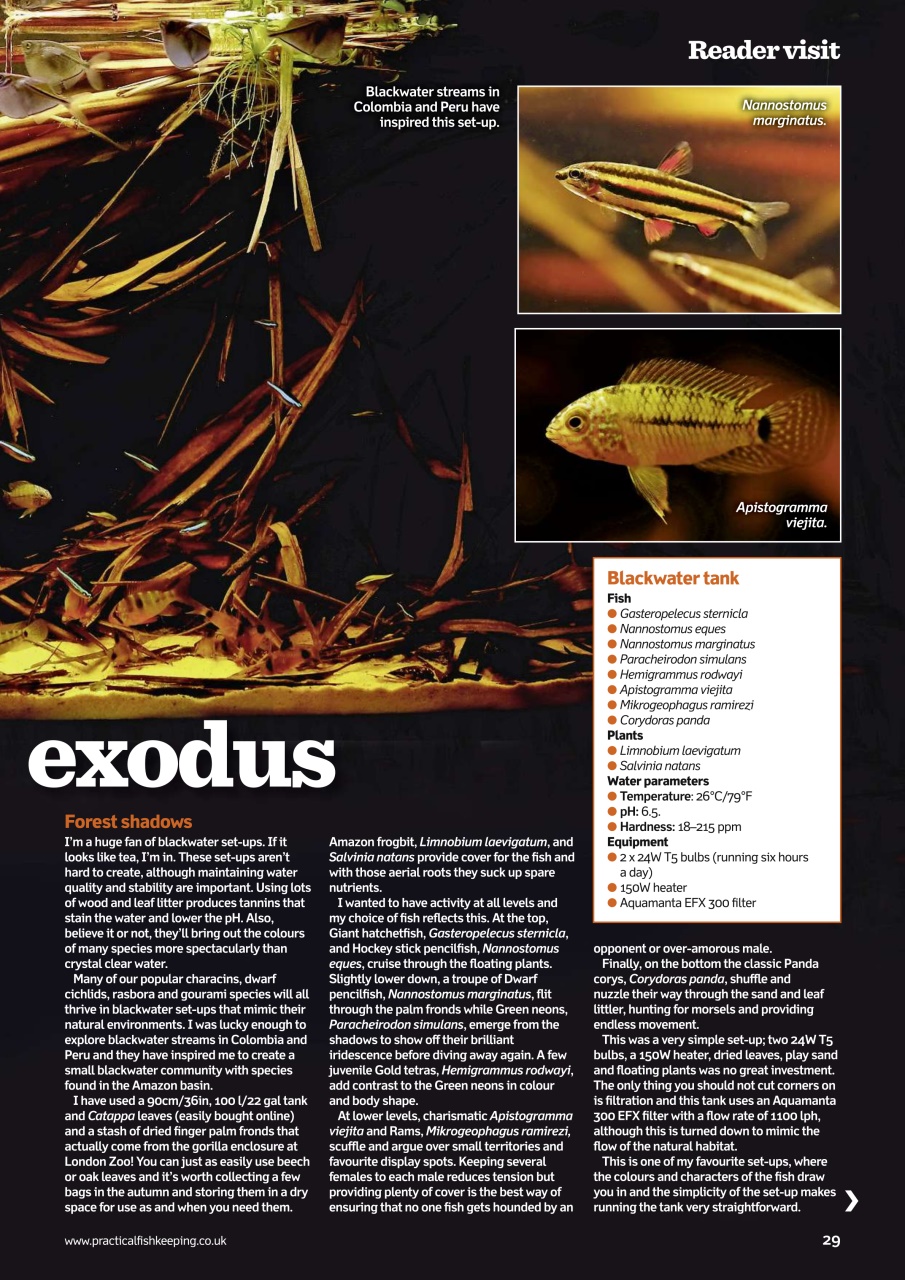 Practical Fishkeeping Preview Pages