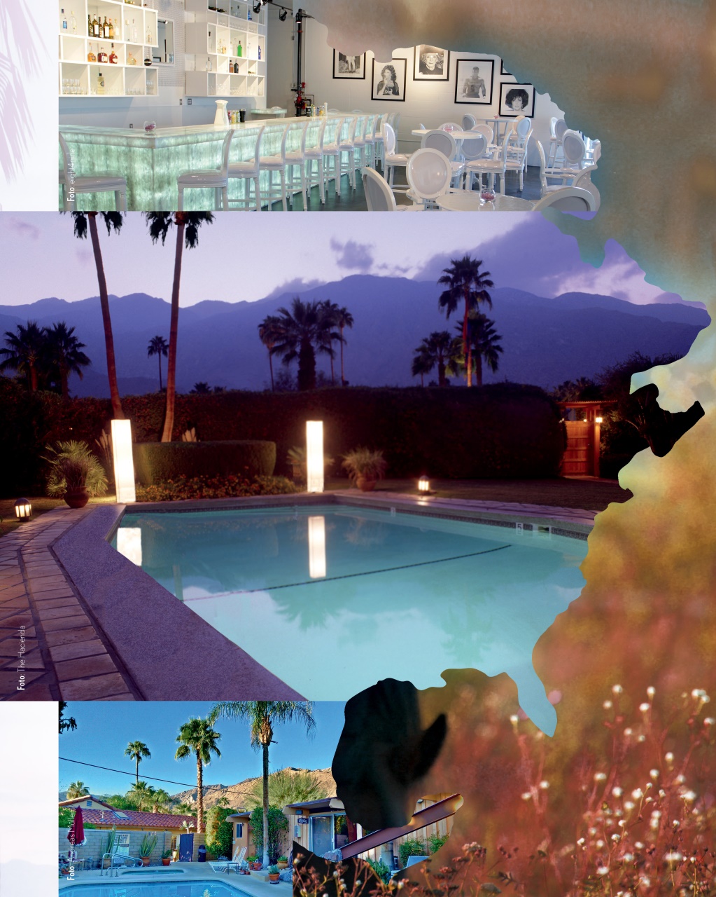 Mate Magazine Preview Pages