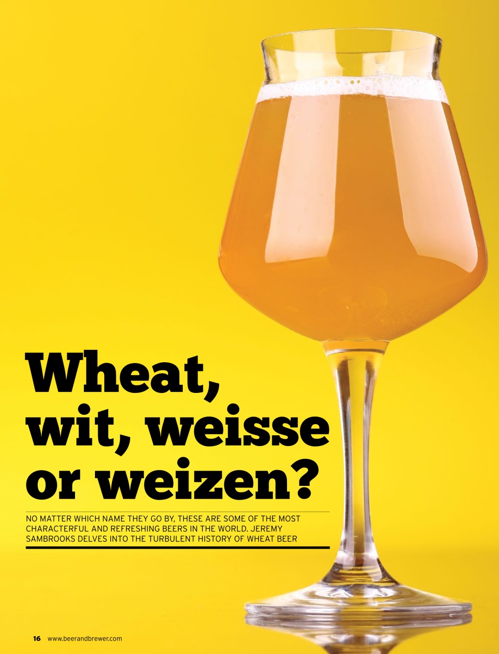 Beer and Brewer Preview Pages