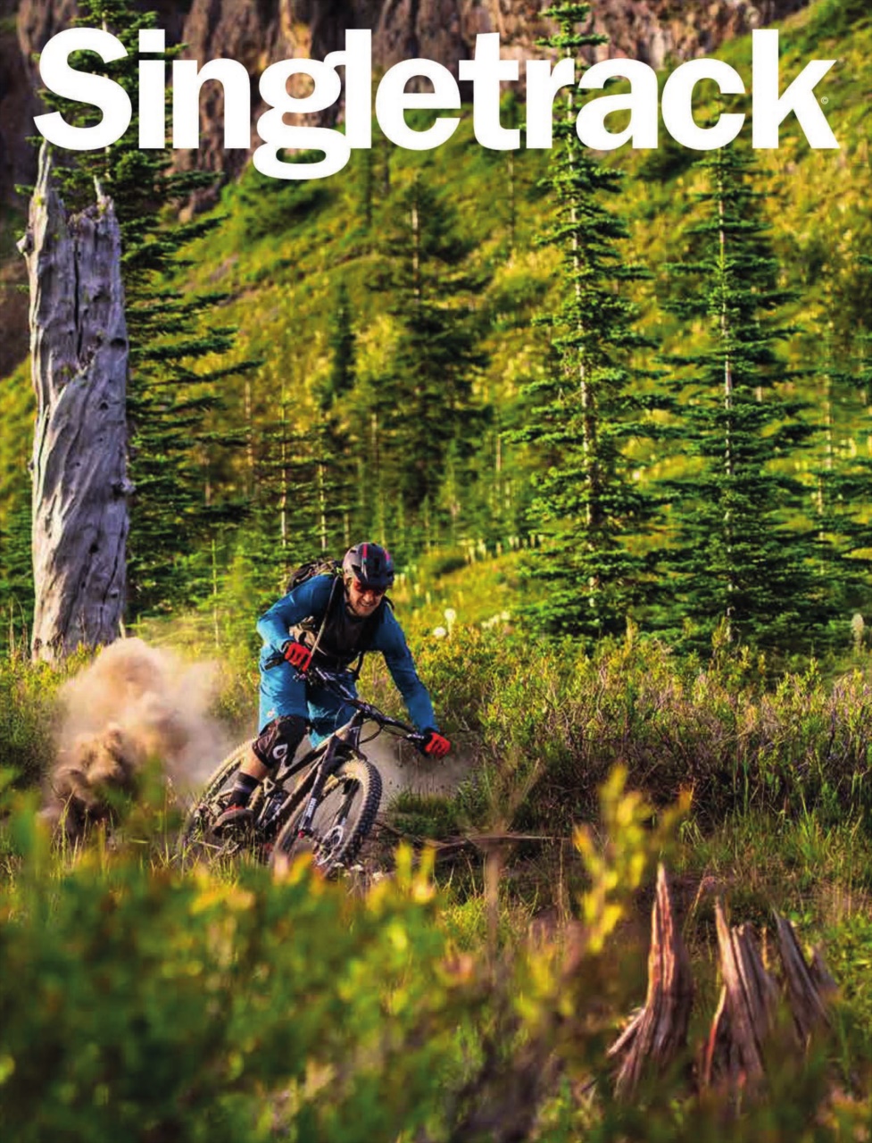 Singletrack Preview Pages