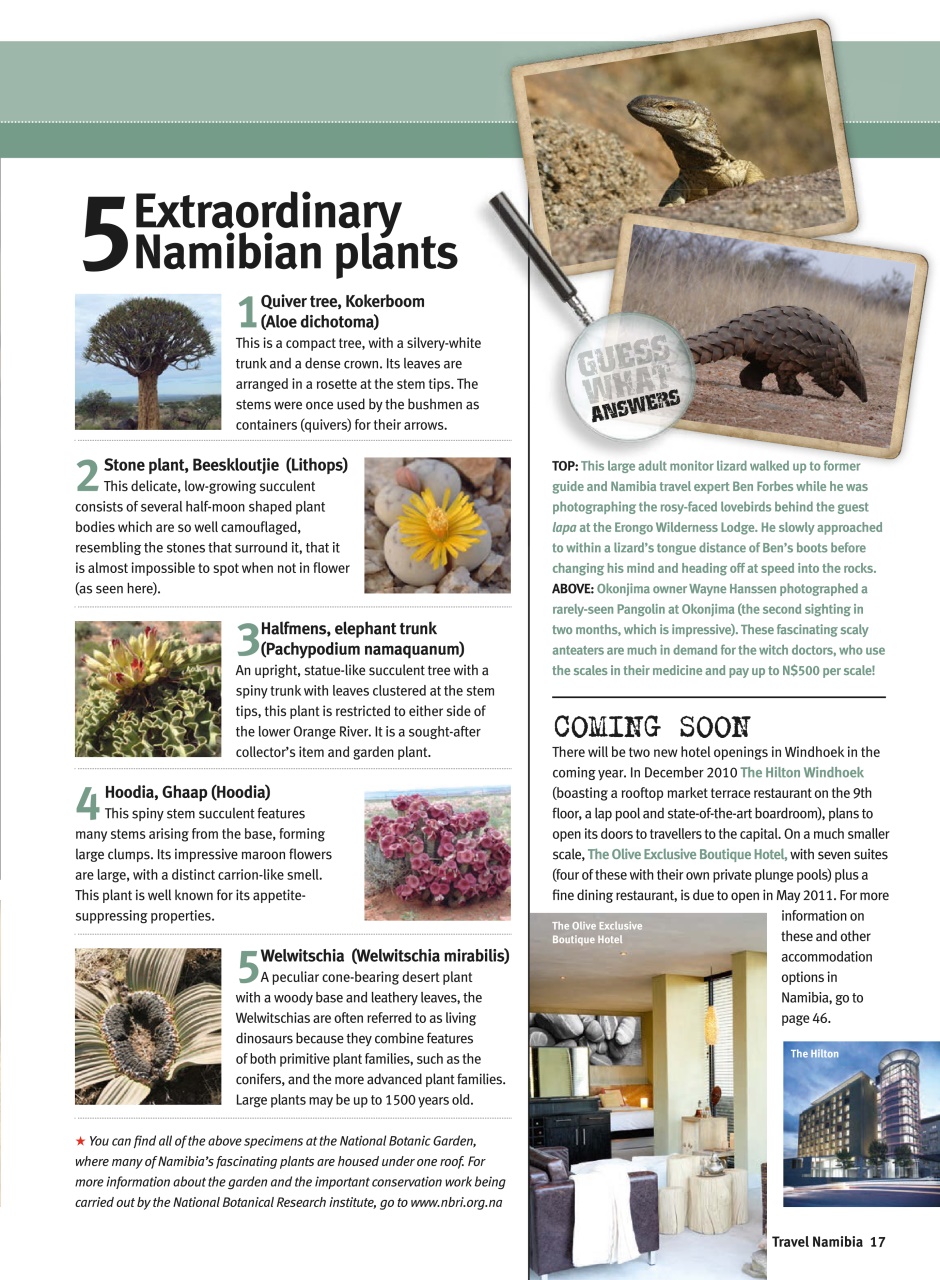 Travel Africa Preview Pages