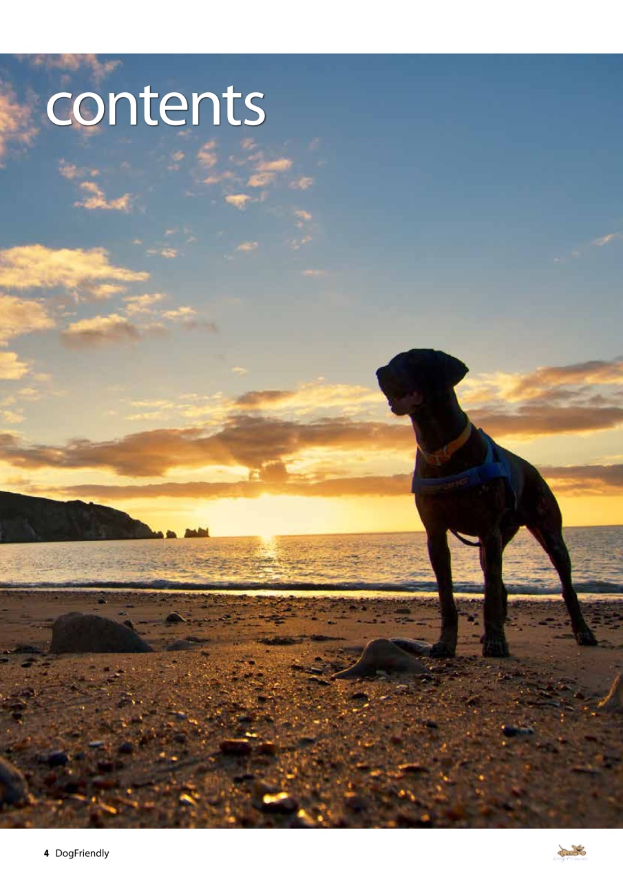 Dog Friendly Preview Pages