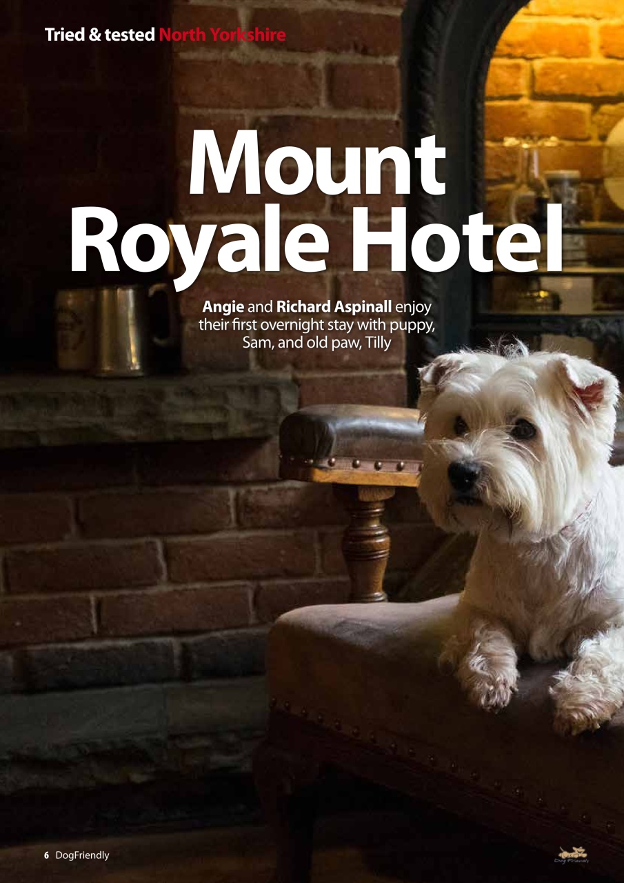 Dog Friendly Preview Pages