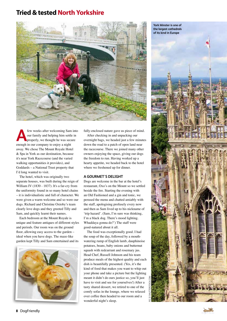 Dog Friendly Preview Pages