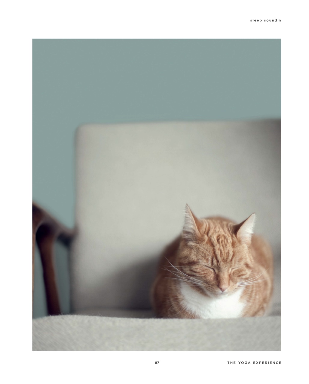 WellBeing For Life Preview Pages